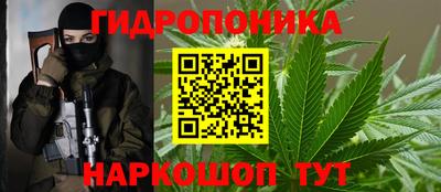 прущие грибы Партизанск